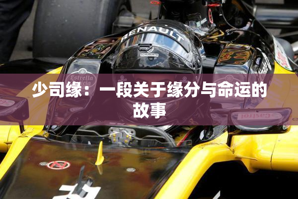 少司缘：一段关于缘分与命运的故事
