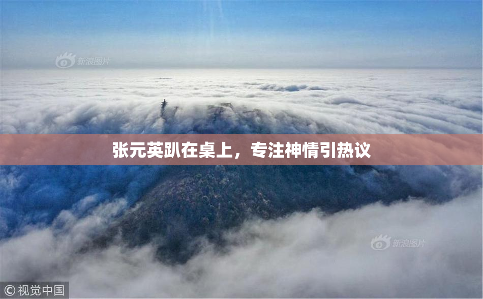张元英趴在桌上，专注神情引热议