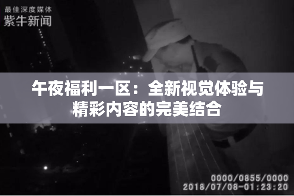 午夜福利一区：全新视觉体验与精彩内容的完美结合