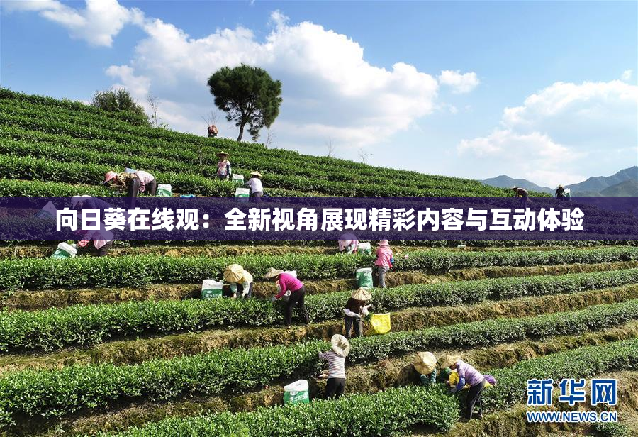 向日葵在线观：全新视角展现精彩内容与互动体验