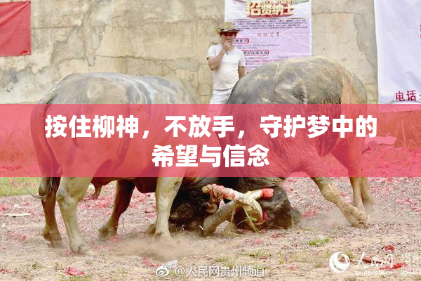 按住柳神，不放手，守护梦中的希望与信念