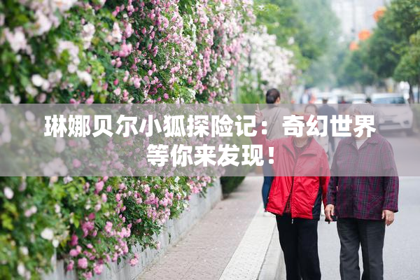 琳娜贝尔小狐探险记：奇幻世界等你来发现！