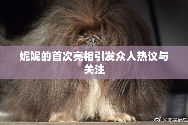 妮妮的首次亮相引发众人热议与关注
