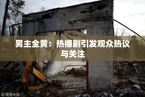 男主全黄：热播剧引发观众热议与关注