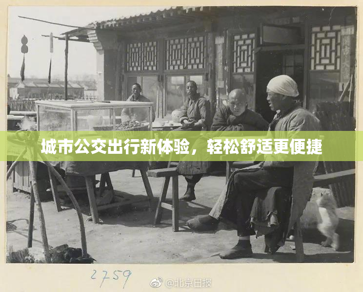 城市公交出行新体验，轻松舒适更便捷