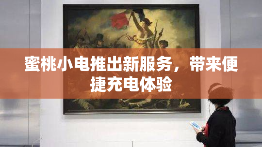 蜜桃小电推出新服务，带来便捷充电体验