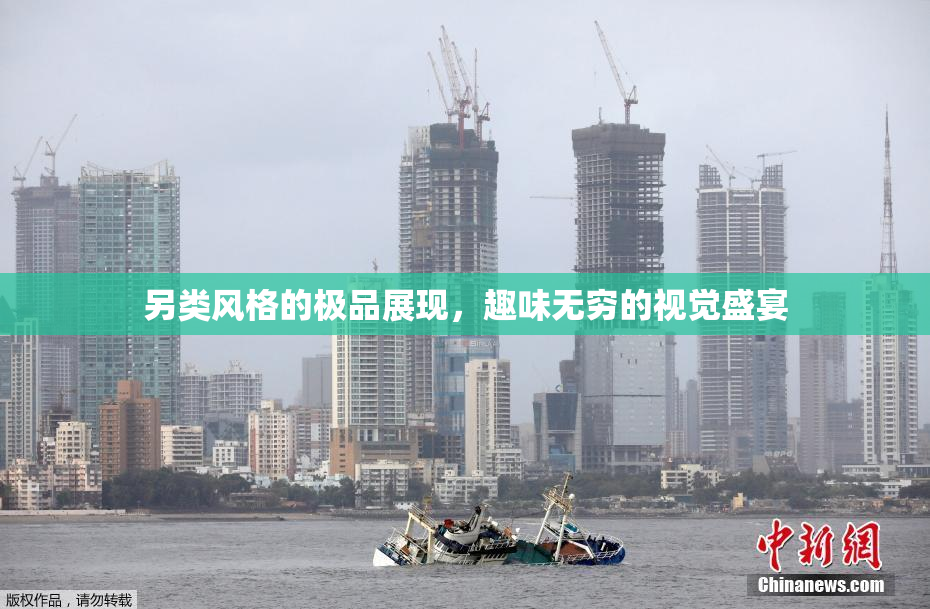 另类风格的极品展现，趣味无穷的视觉盛宴