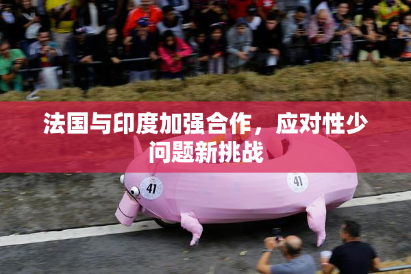 法国与印度加强合作，应对性少问题新挑战