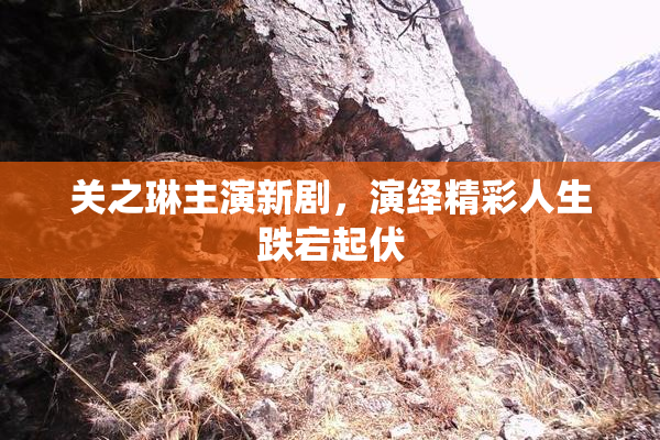 关之琳主演新剧，演绎精彩人生跌宕起伏