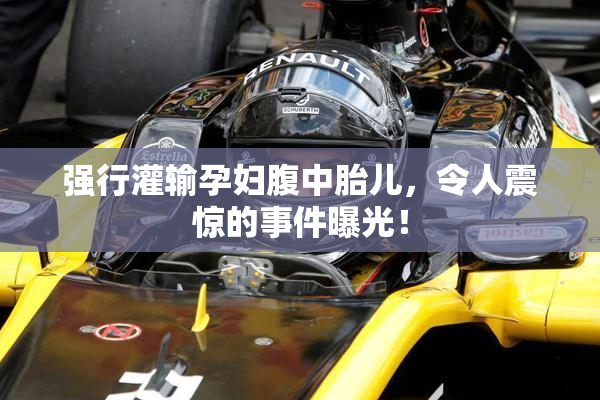 强行灌输孕妇腹中胎儿，令人震惊的事件曝光！