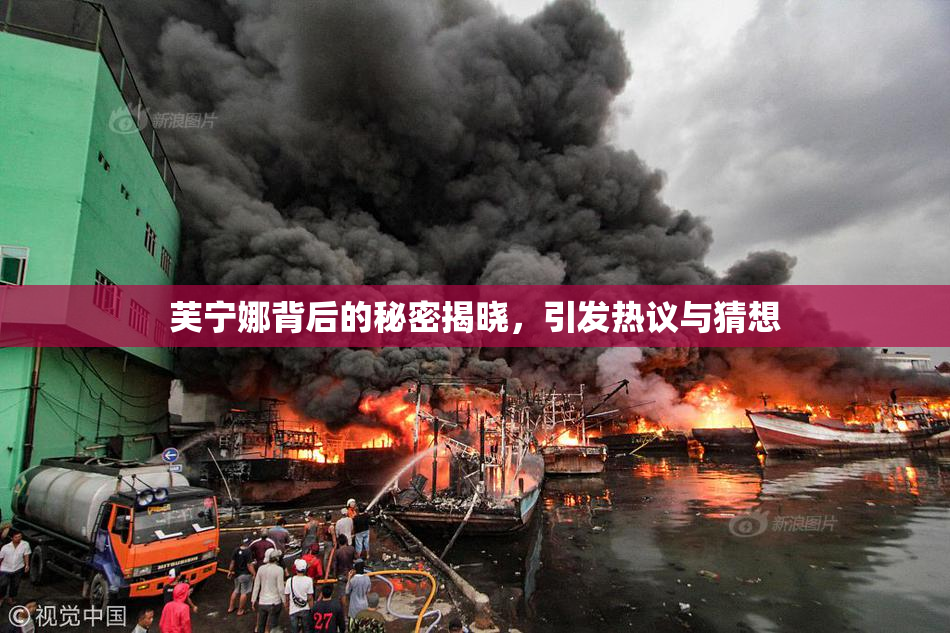 芙宁娜背后的秘密揭晓，引发热议与猜想