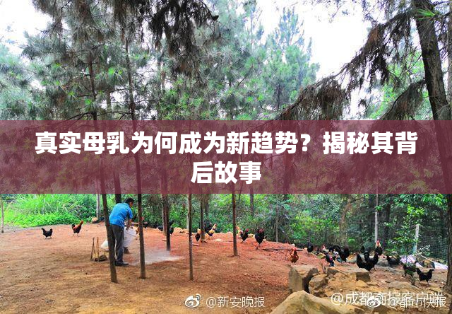 真实母乳为何成为新趋势？揭秘其背后故事