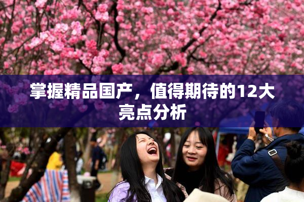 掌握精品国产，值得期待的12大亮点分析