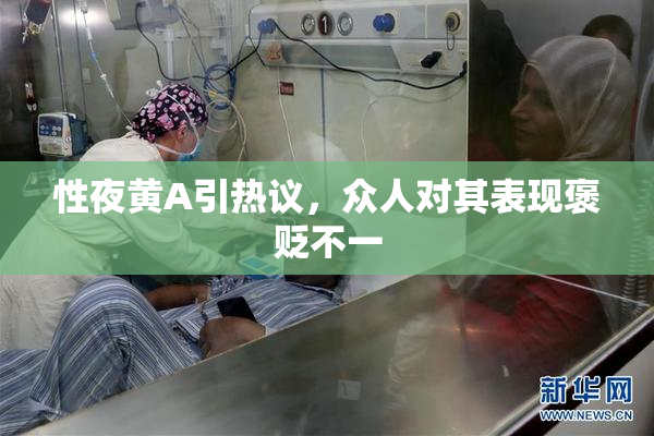 性夜黄A引热议，众人对其表现褒贬不一