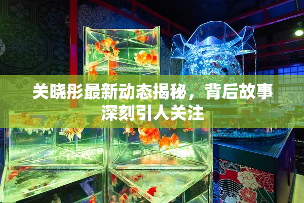 关晓彤最新动态揭秘，背后故事深刻引人关注