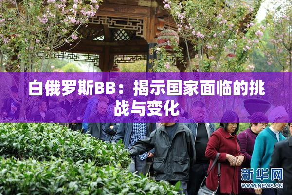白俄罗斯BB：揭示国家面临的挑战与变化