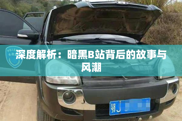 深度解析：暗黑B站背后的故事与风潮