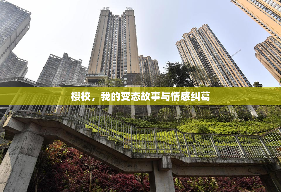 樱校，我的变态故事与情感纠葛