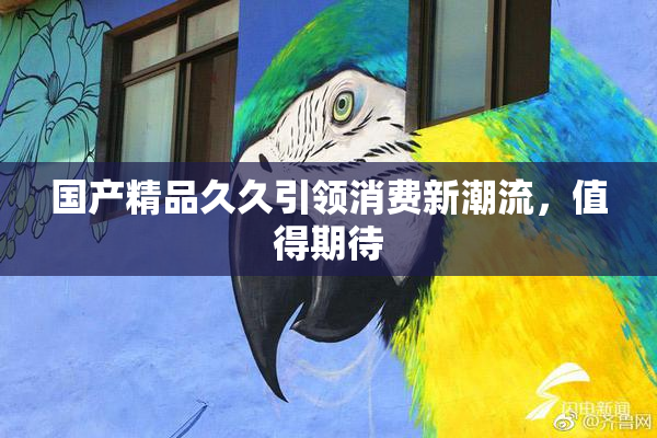 国产精品久久引领消费新潮流，值得期待