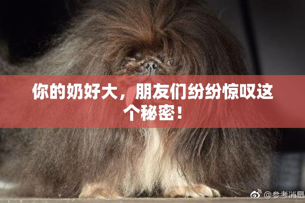 你的奶好大，朋友们纷纷惊叹这个秘密！