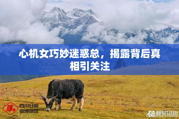心机女巧妙迷惑总，揭露背后真相引关注