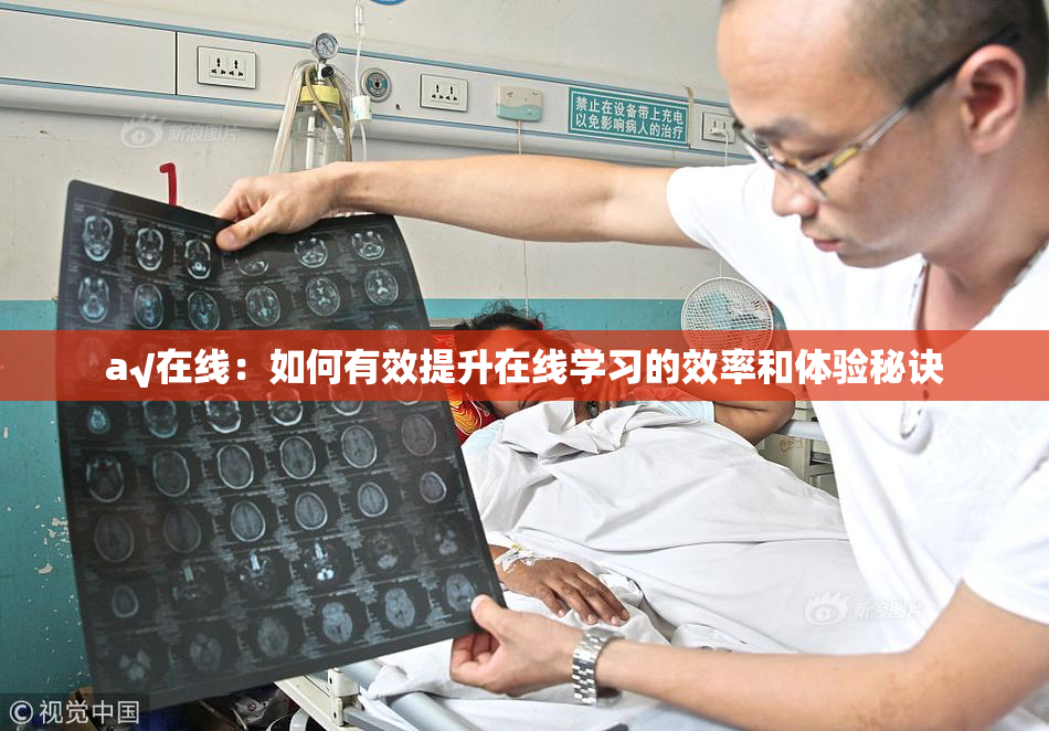 a√在线：如何有效提升在线学习的效率和体验秘诀