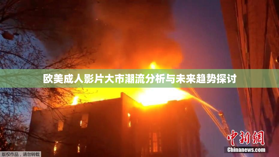 欧美成人影片大市潮流分析与未来趋势探讨