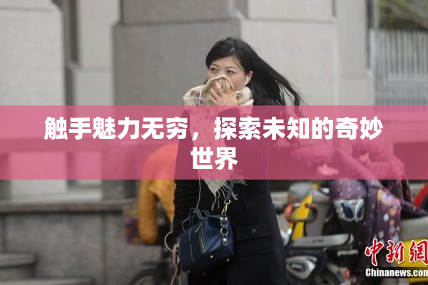 触手魅力无穷，探索未知的奇妙世界