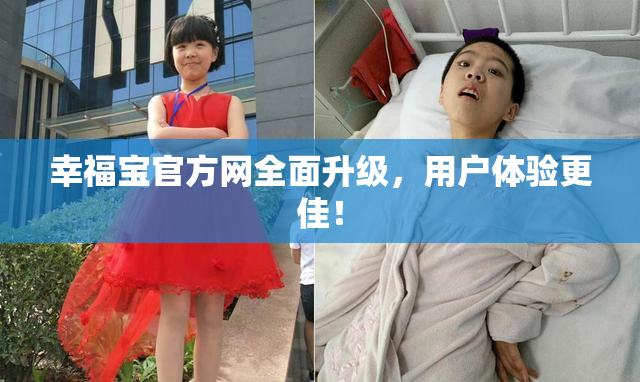 幸福宝官方网全面升级，用户体验更佳！