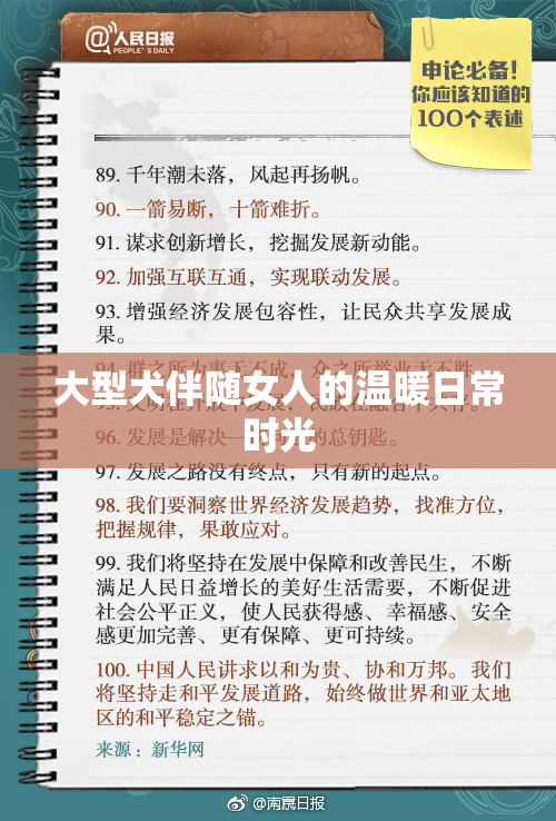 大型犬伴随女人的温暖日常时光