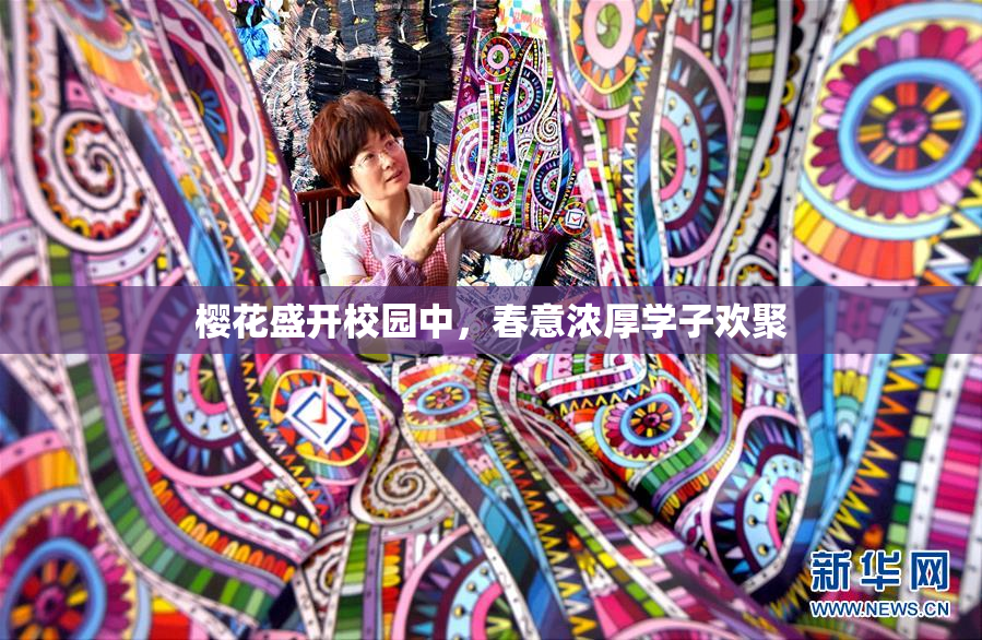 樱花盛开校园中，春意浓厚学子欢聚