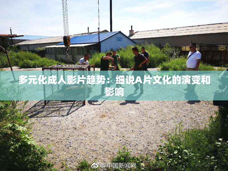 多元化成人影片趋势：细说A片文化的演变和影响