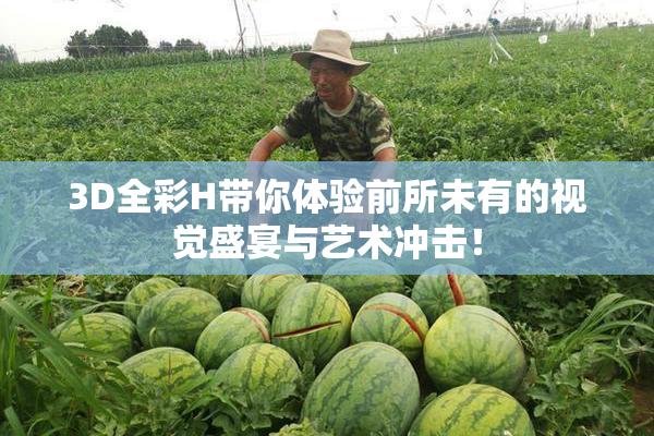 3D全彩H带你体验前所未有的视觉盛宴与艺术冲击！