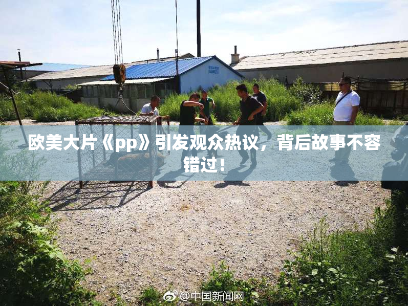 欧美大片《pp》引发观众热议，背后故事不容错过！