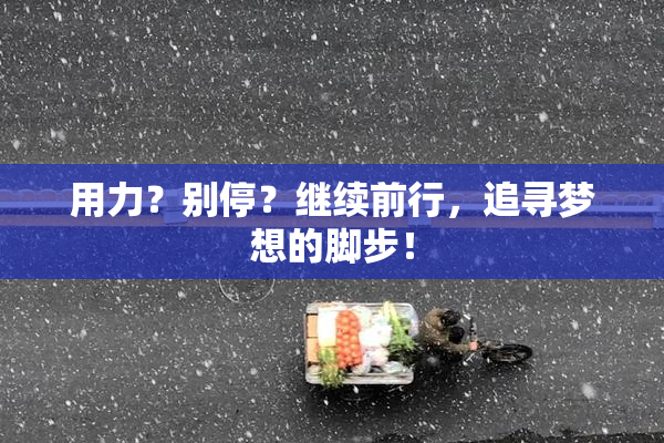 用力？别停？继续前行，追寻梦想的脚步！