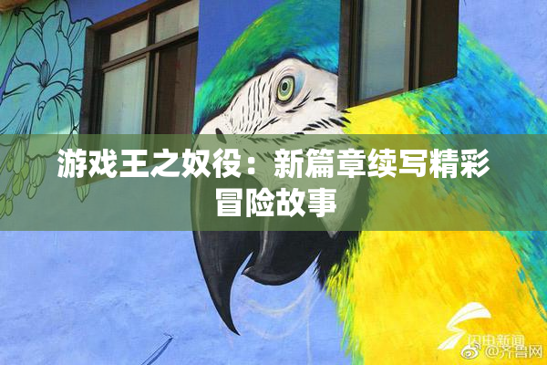 游戏王之奴役：新篇章续写精彩冒险故事