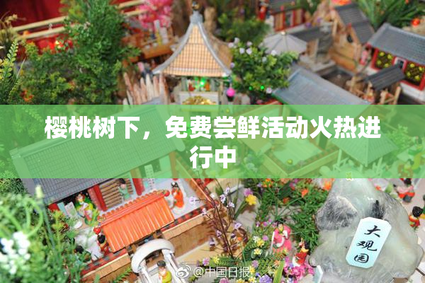 樱桃树下，免费尝鲜活动火热进行中