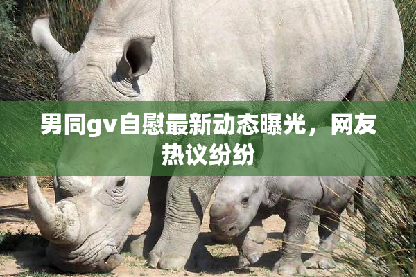 男同gv自慰最新动态曝光，网友热议纷纷