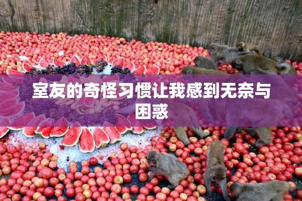室友的奇怪习惯让我感到无奈与困惑