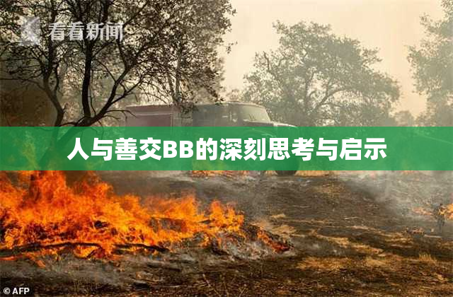 人与善交BB的深刻思考与启示