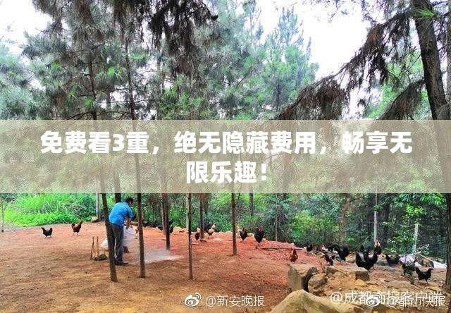 免费看3重，绝无隐藏费用，畅享无限乐趣！