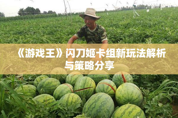 《游戏王》闪刀姬卡组新玩法解析与策略分享
