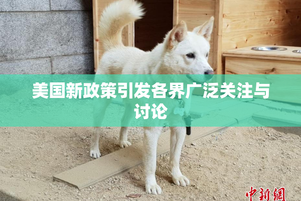 美国新政策引发各界广泛关注与讨论