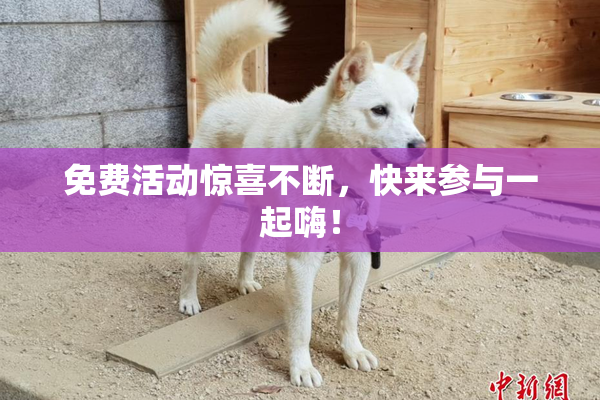 免费活动惊喜不断，快来参与一起嗨！