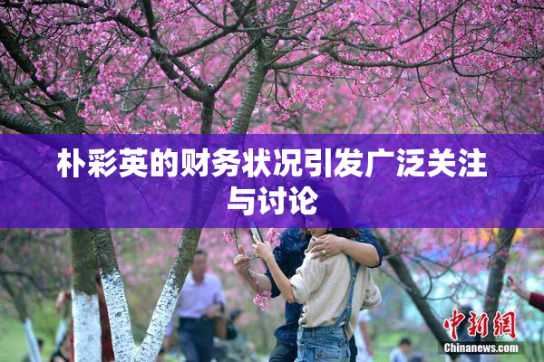 朴彩英的财务状况引发广泛关注与讨论