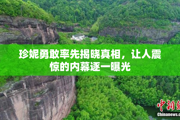 珍妮勇敢率先揭晓真相，让人震惊的内幕逐一曝光