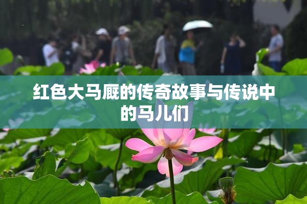 红色大马厩的传奇故事与传说中的马儿们