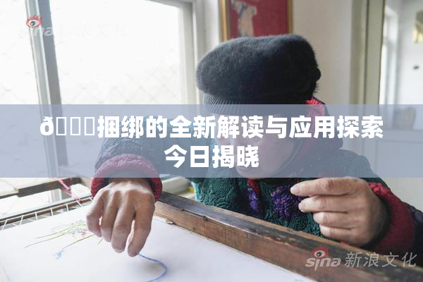🔞捆绑的全新解读与应用探索今日揭晓