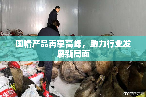 国精产品再攀高峰，助力行业发展新局面