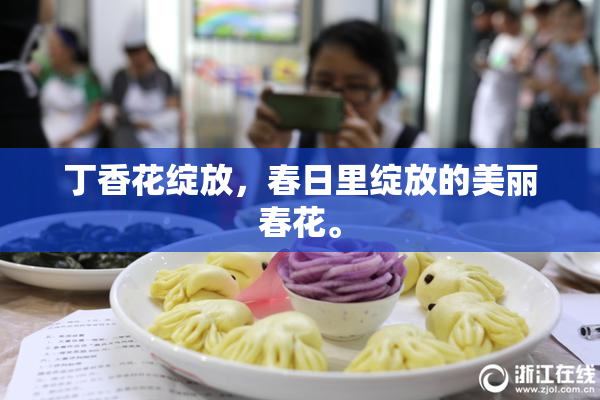 丁香花绽放，春日里绽放的美丽春花。